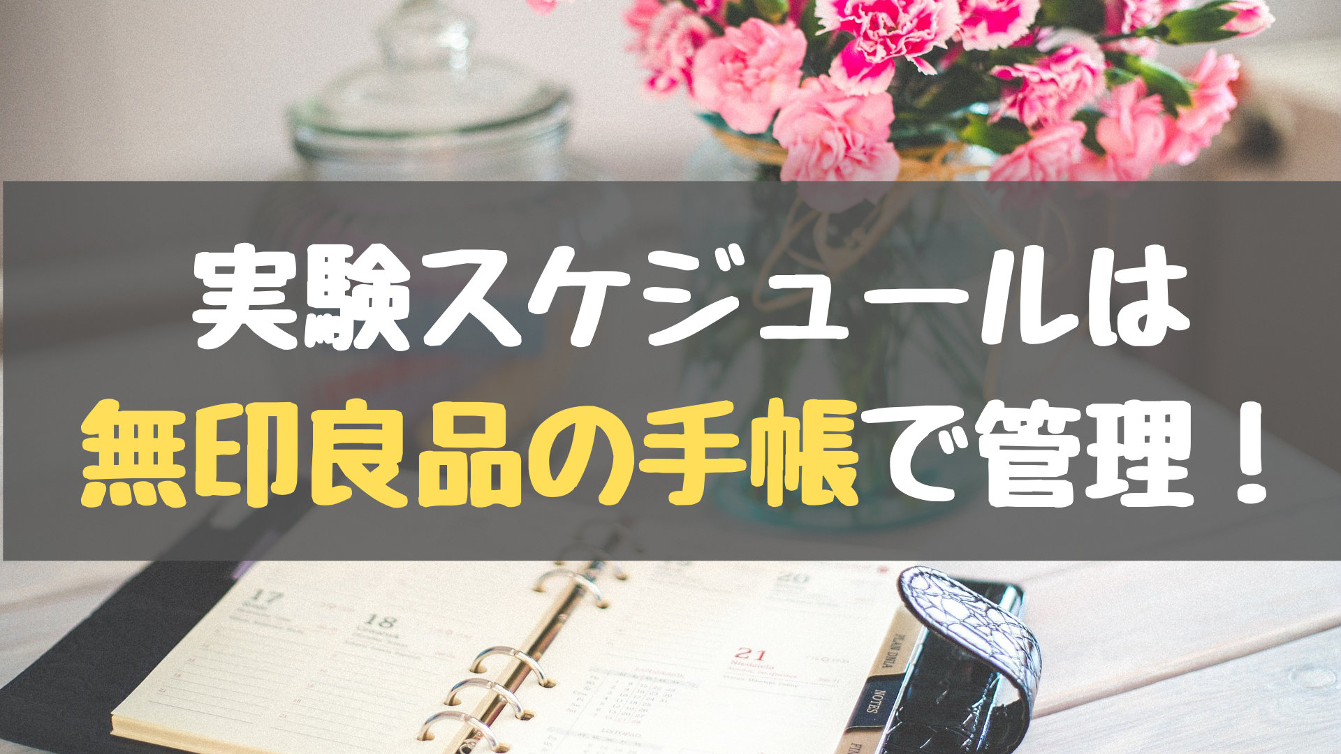 実験スケジュールの管理に便利な 無印良品の手帳 Tabeの博士就活 キャリアblog