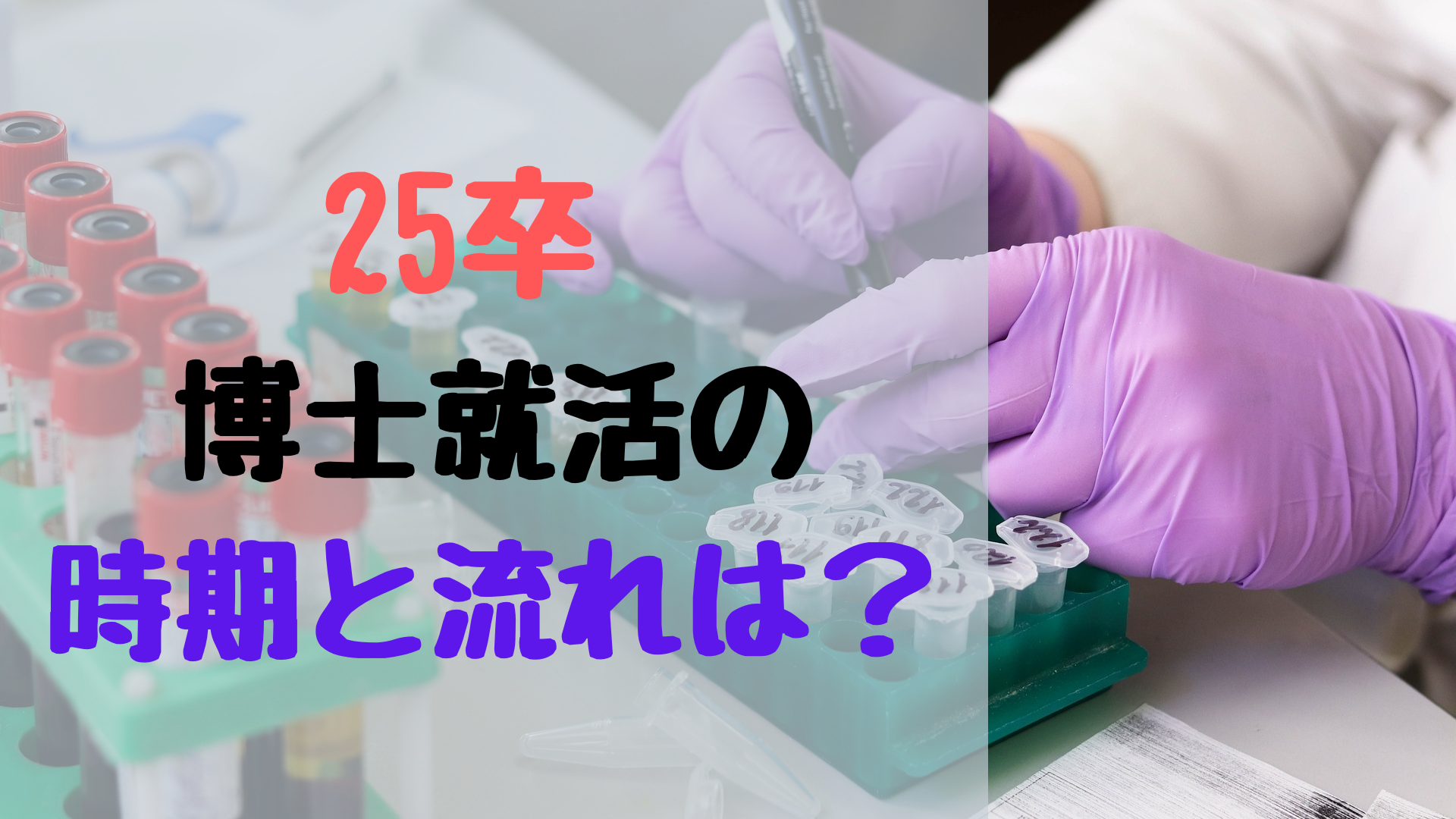 25卒　博士　就活
